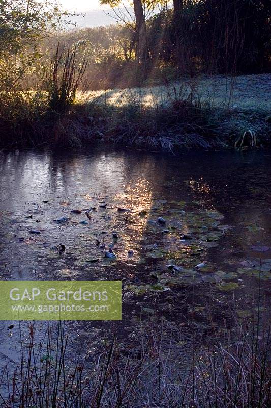 Sunlight shafts through onto pond on a frosty morning 
