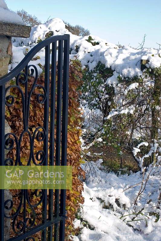 Garden gate in the snow 