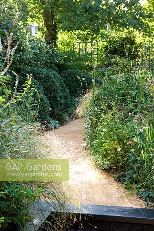 View up curved pathway with wild naturalistic borders in urban garden