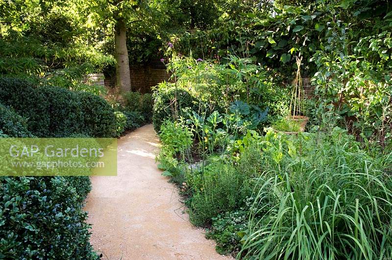 View up curved pathway with clipped, pruned hedging on one side and naturalistic planting on the other. 