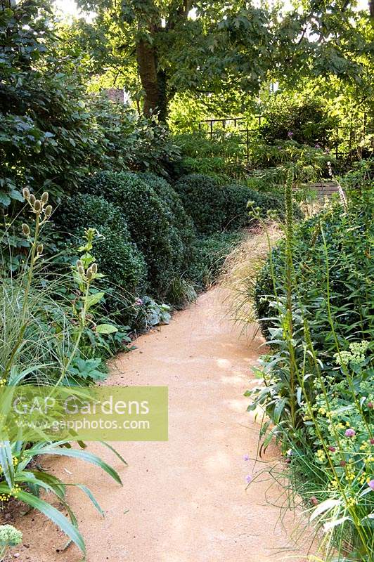 View up curved pathway with wild naturalistic borders in urban garden. 