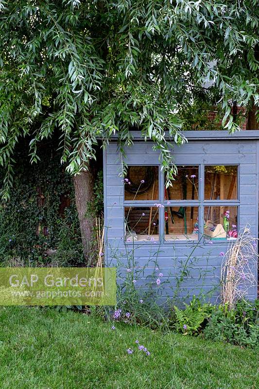 Contemporary garden in Wimbledon - including grey garden shed with perennial planting.
