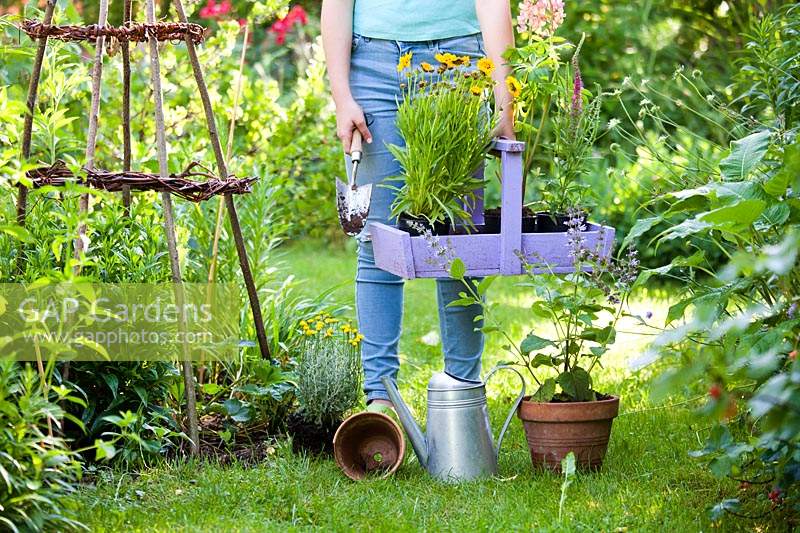 Person holding a trug of potted plants and a trowel, prior to planting in a bed