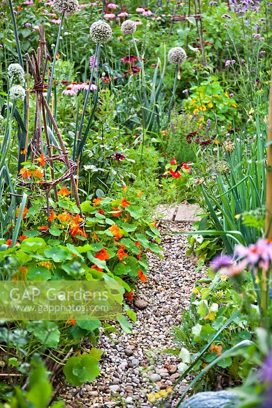 Gravel path through crowded vegetable beds