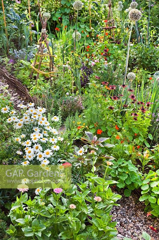 View across the path and edible beds of mixed beneficial planting of vegetables, flowers and herbs