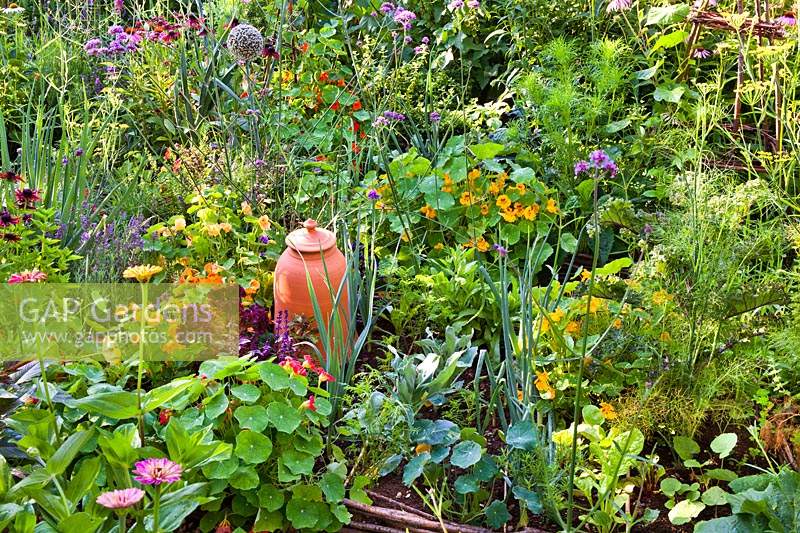 Mixed beds with vegetables, herbs, annuals and perennials