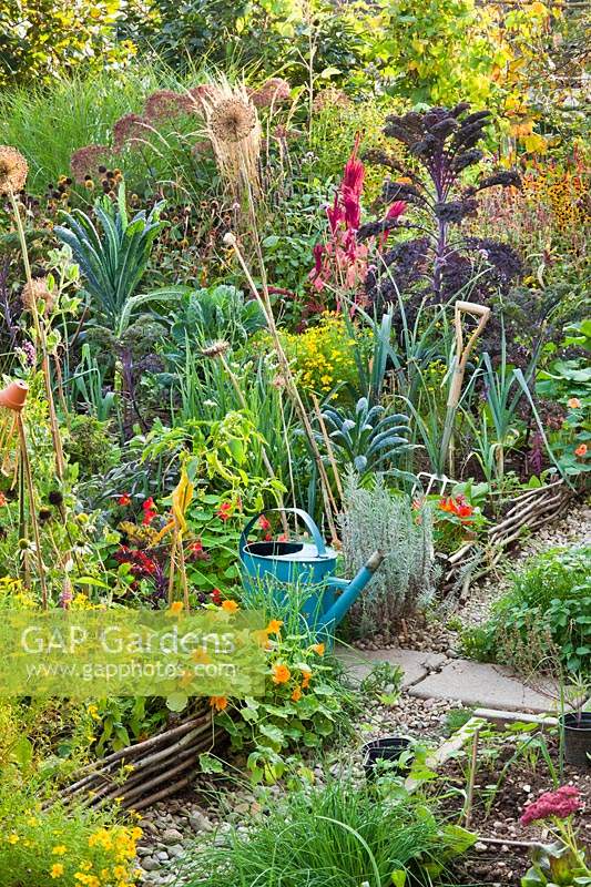 Beds with woven edges by gravel path, colourful mix of vegetables, foliage and flowers

