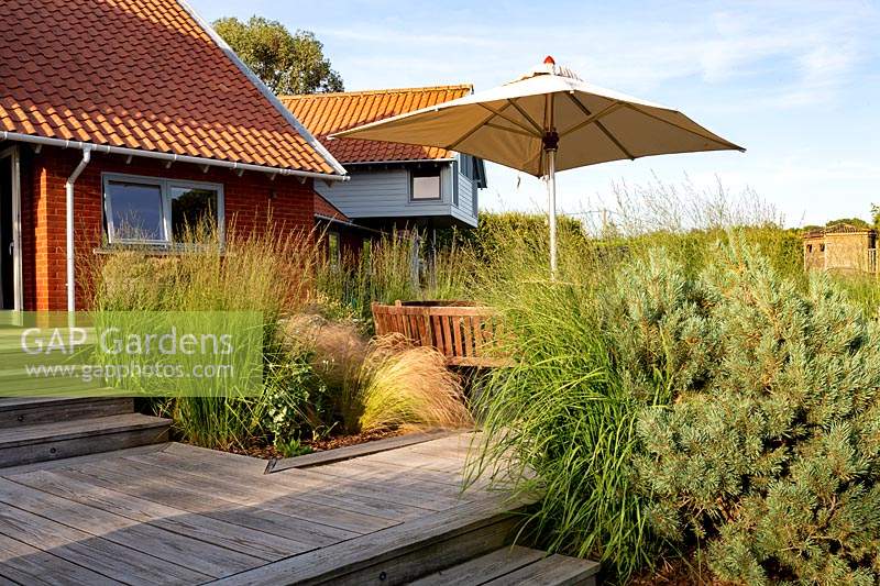 Meadow garden in Aldeburgh, Suffolk. Decked patio area with wooden table with parasol and chairs. Herbaceous border planting includes: Panicum virgatum - Heavy Metal, Molinia caerulea subsp. arundinacea - Transparent, Stipa tenuissima.
