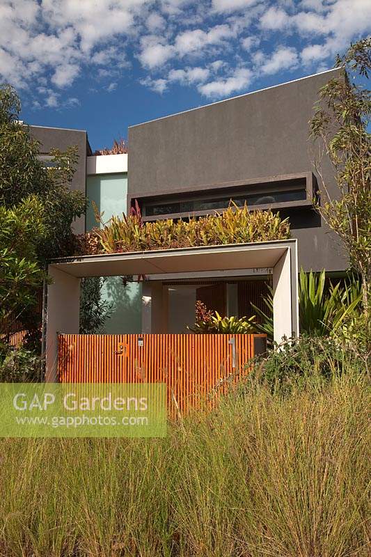 A modern house with a kerbside planting of grasses and a suspended planter planted with bromeliads, showing a slat timber fence and gate.