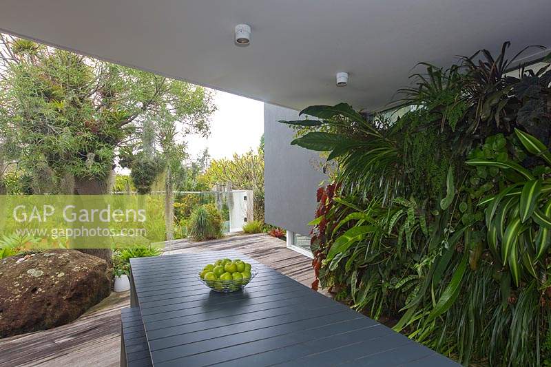 A  large grey outdoor table and bench seats, with a bowl of green apples in front of a vertical wall garden undercover on a timber deck, with a heavy planting of shade loving plants, begonia, maidenhair fern, a tropical fig, bromeliads and a flowering Flamingo Flower.