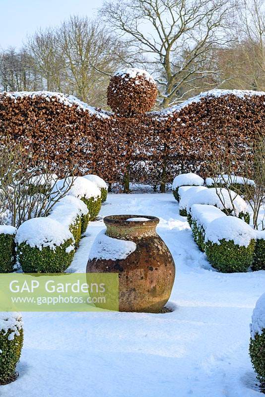 The Potager with Buxus - box hedging and topiary shapes. Fagus - Beech hedge with topiary ball and  terracotta oil jar with a covering of snow. The Old Rectory, Sufolk, UK