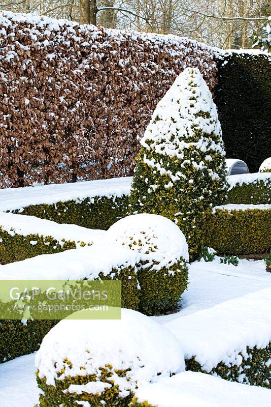 The Potager with Buxus - box hedging and topiary shapes, Fagus - Beech hedge and Taxus baccata - yew hedge with a covering of snow in late February. The Old Rectory, Suffolk, UK