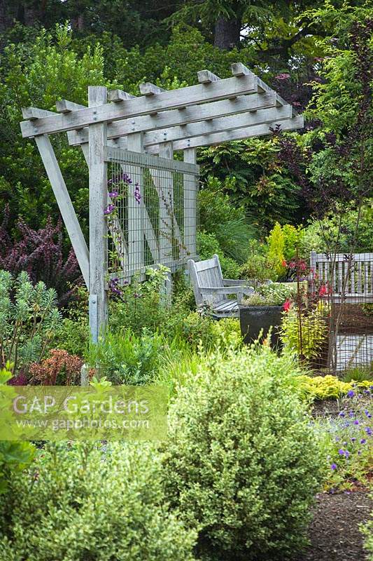 Shade structure over garden bench surrounded by perennials - Bellevue Botanical Gardens