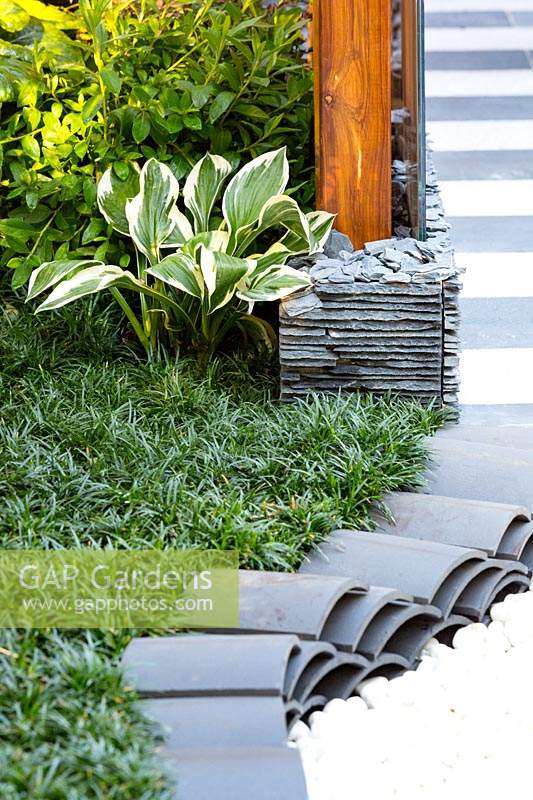 Detail of a curved path edged with traditional curved Chinsese roof tiles,  mulched with white quartz pebbles, the garden is planted with dwarf Mondo Grass with a variegated Hosta.