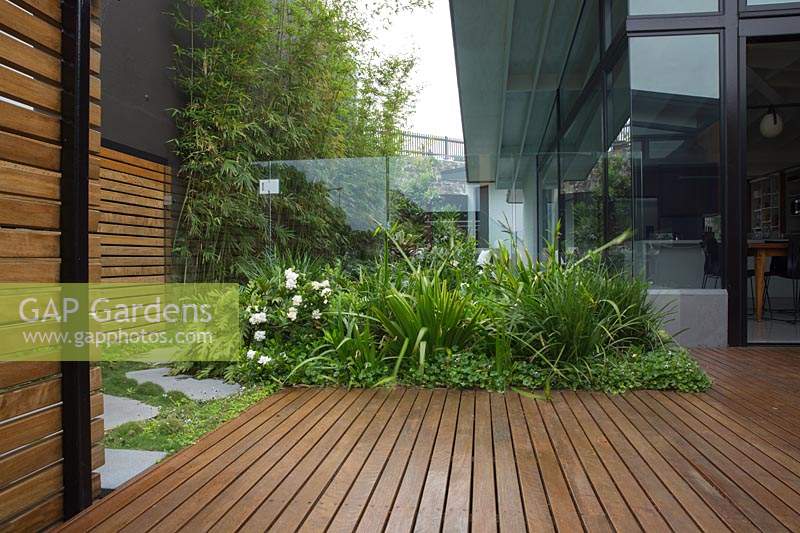 A slatted timber screen and hardwood deck next to a house with a green screen planting of Slender Weavers Bamboo, a hardwood timber deck and a low garden bed with lush planting.