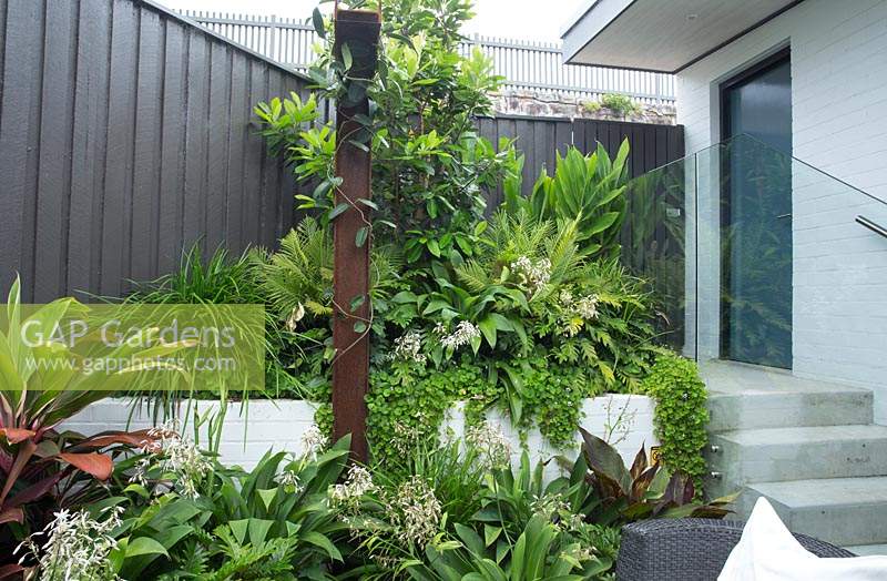 Detail of a lush green garden with a raised garden and a variety plants, with an upright decorative rusty steel I beam with a Madagascar jasmine vine growing up it and featuring Australian native violet, Renga Lily, Philodendron Xanadu, Liriope, Silver Lady Fern, and Slender weavers bamboo.