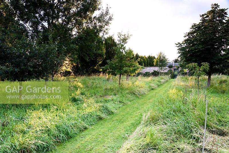 A mown path through long grasses planted with trees leads towards the Walled Garden at Broadwoodside, Gifford, East Lothian in Scotland.