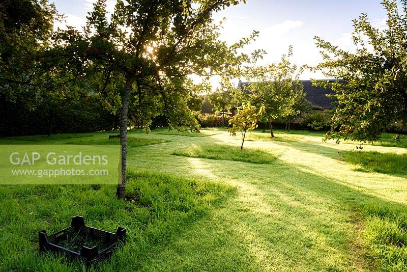The Orchard at Broadwoodside, Gifford, East Lothian in Scotland.