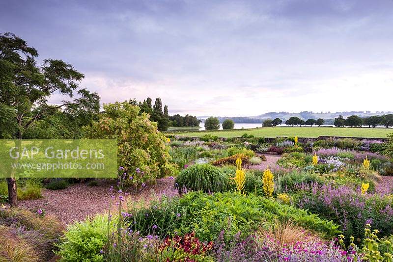 Gravel garden with at the Yeo Valley Organic Garden, Blagdon, Somerset in June