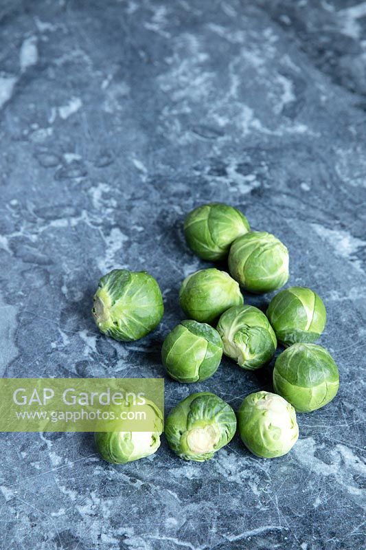 Brassica oleracea var. gemmifera - Brussels Sprouts - on a kitchen worktop