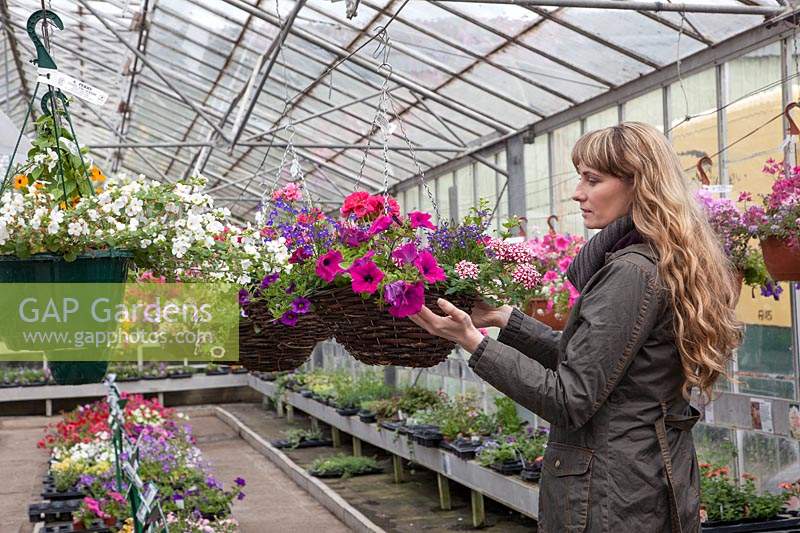Woman buying hanging baskets in greenhouse at garden centre, Perry's Garden Centre, Broxted.