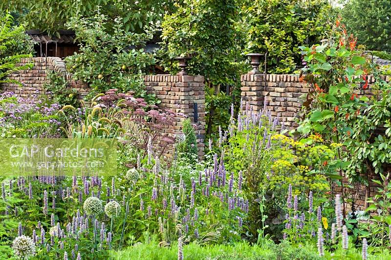 Mixed planting of herbs and vegetables in walled herb garden.
