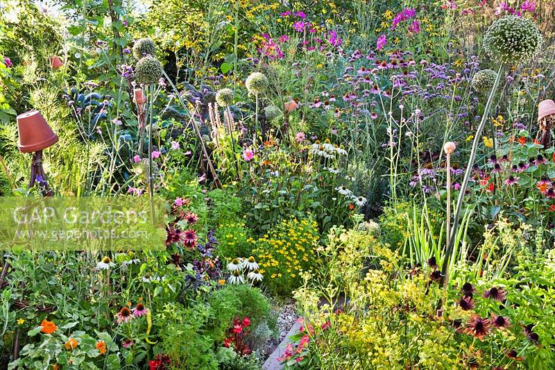 Mixed planting of herbs, vegetables and flowers with beneficial plants.