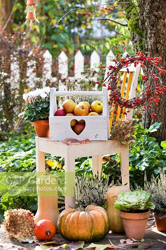 Autumn harvest scene with pumpkins and apples.