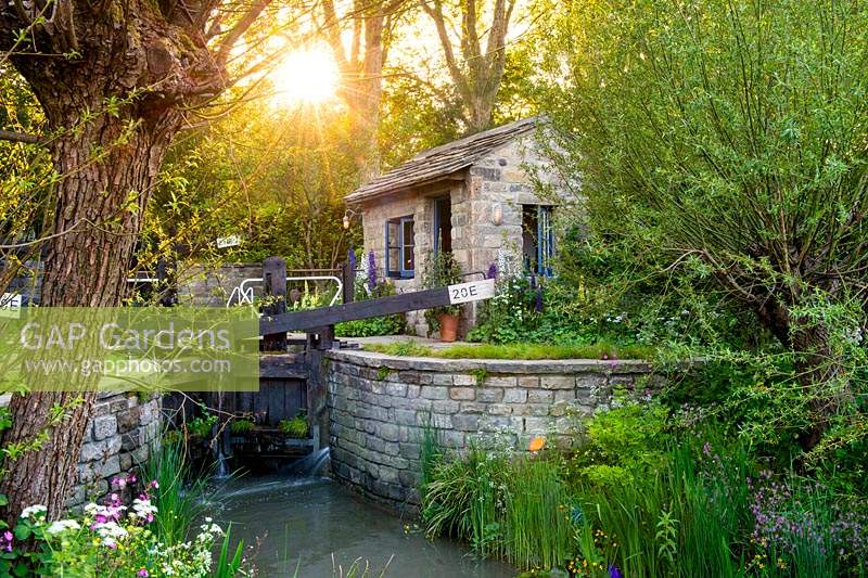 View of the house surrounded by pollarded willow - Salix and wild planting. The Welcome to Yorkshire Garden  
RHS Chelsea Flower Show 2019