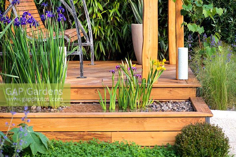 Water feature with filtering plants: Iris laevigata and Iris pseudacorus - yellow iris. The Harmonious Garden of Life. RHS Chelsea Flower Show 2019