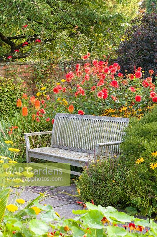 A wooden bench in The Lanhydrock Garden, noted for its hot colours, at Wollerton Old Hall Garden, near Market Drayton, Shropshire.