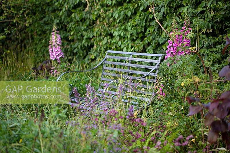 Iron bench amongst mixed summer flowers. Romance in the Ruins - BBC Gardeners World Live Flower Show 2017