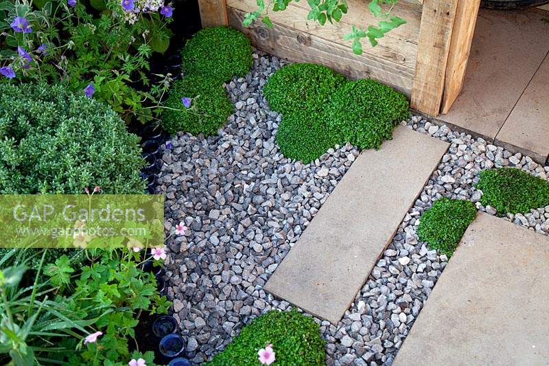 Contemporary paving with gravel and thyme in the 'Living in Sync' garden at BBC Gardener's World Live 2017