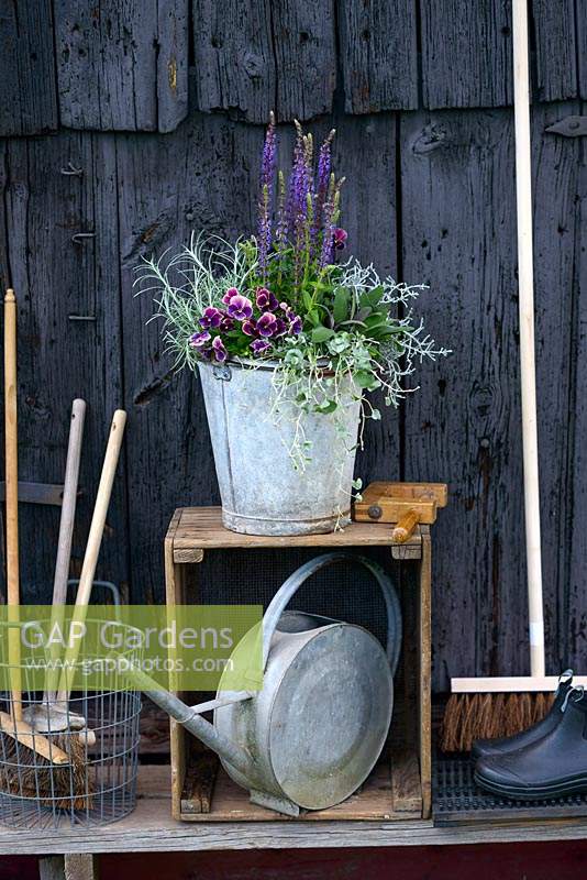 Vintage bucket with spring and summer flowers. Great for small spaces 