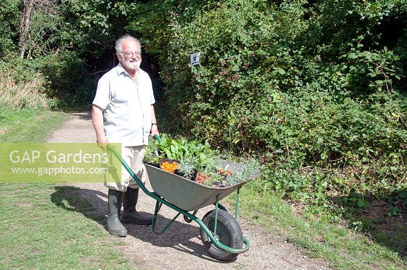Jack with wheelbarrow full of plants, Gillespie Park, Highbury, London Borough of Islington.