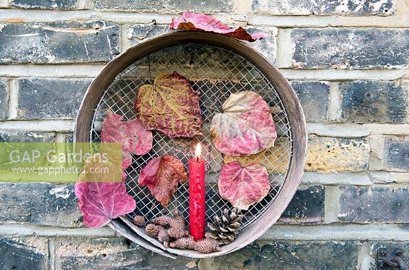 Red Candle with pine cones and red Forest Pansy leaves displayed in old vintage sieve hanging on brick wall.