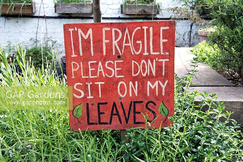 Sign above plant saying 'I'm Fragile Please Don't Sit on my Leaves', Dalston Eastern Curve Garden, London Borough of Hackney.