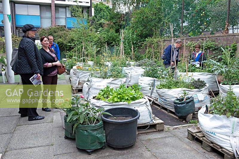 The Golden Baggers community allotments with vegetables and plants growing in builders bags, Golden Lane Estate, City of London.