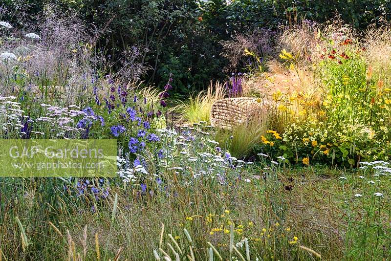 Summer borders in Jordan's wildlife garden - RHS Hampton Court Flower Show 2014.