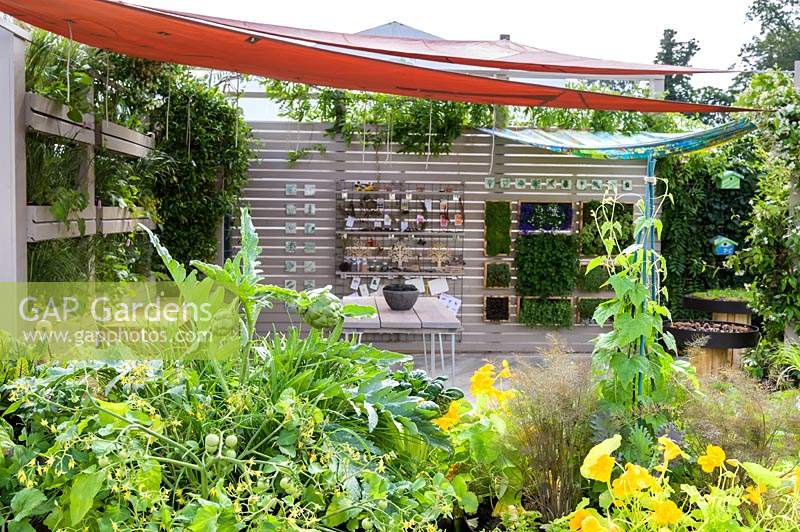 Outdoor room with removeable canvas canopy roof, plant screen and planting of herbs and vegetables, with Nasturtiums and climbing french beans - The Year of Green Action Garden - RHS Hampton Court Palace Garden Festival 2019. Sponsors: Defra.