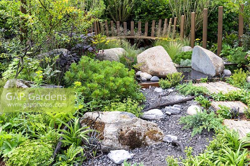 Natural rock and stone, with green foliage groundcover planting. Wooden curved bench and stepping stones with slate pieces in corten steel frames with Pinus mugo,  Deschampsia cespitosa, Achillea 'Moonshine', Ophiopogon planiscapus 'Nigrescens' -Through Your Eyes Garden - RHS Hampton Court  Palace Garden Festival 2019. Sponsors: Kebony, CED Stone, R and G Metal Products, William's Art and Design, Practicality Brown.