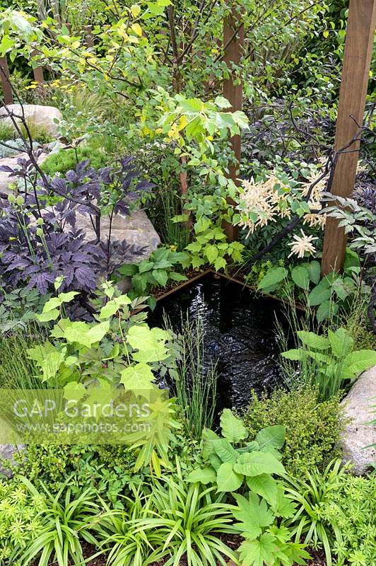 Deschampsia cespitosa, Astilbe, Ophiopogon planiscapus 'Nigrescens' around small reflective pond - Through Your Eyes Garden - RHS Hampton Court  Palace Garden Festival 2019. Sponsors: Kebony, CED Stone, R and G Metal Products, William's Art and Design, Practicality Brown.