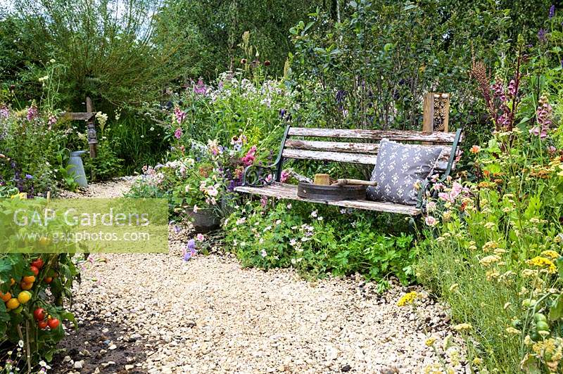 Wooden bench and flower and vegetable borders along gravel path - The BBC Spring Watch Garden - RHS Hampton Court Festival 2019.