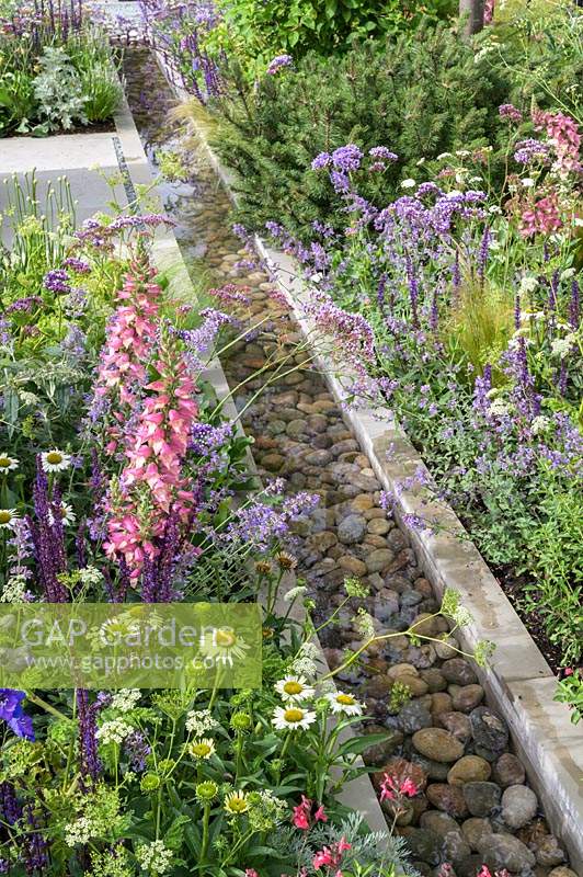 water stream surrounded by Planting in The Viking Cruises Lagom Garden - RHS Hampton Court  Palace Garden Festival 2019  - Designer: Will Williams