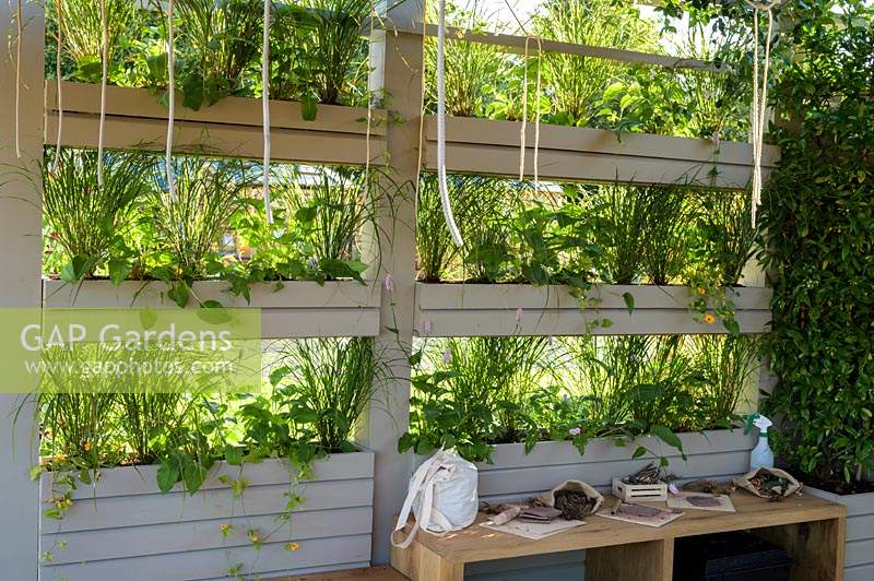 Outdoor room with green-wall shelves for planting herbs- The Year of Green Action Garden - RHS Hampton Court Palace Garden Festival 2019 - Designers: Helen J Rosevear and Jane Stoneham - Sponsors: Defra.