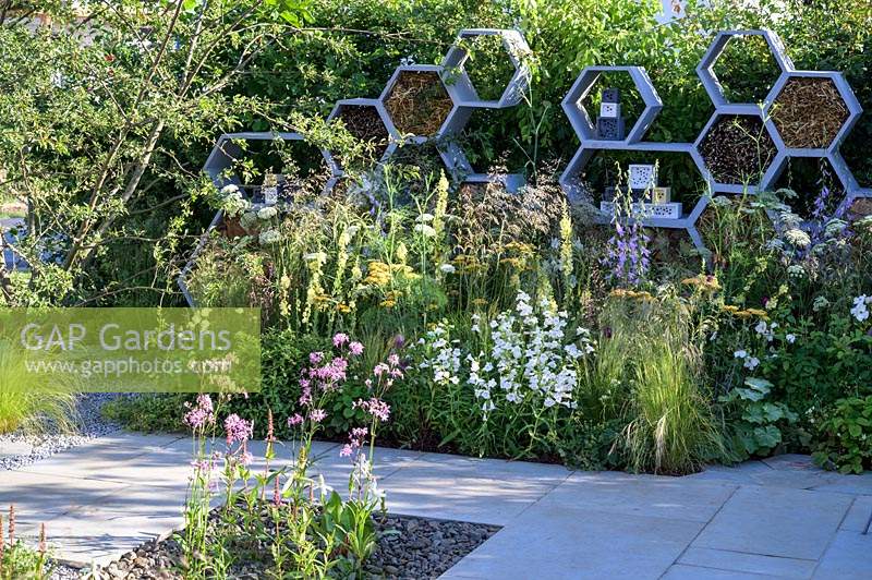Honeycomb shapes wall with twigs for solitary bees, surrounded by nectar-rich flowers  such as Campanula persicifolia var. alba, Buddleia, Rosa 'Kew Gardens', Achillea 'Terracotta', Verbascum 'Gainsborough', Daucus carota - The Urban Pollinator Garden - RHS Hampton Court Palace Garden Festival, 2019.