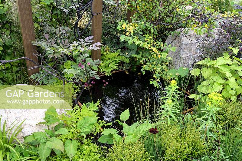Natural rock and stone around pool with mixed planting -Through Your Eyes Garden - RHS Hampton Court Palace Garden Festival 2019. Sponsors: Kebony, CED Stone, R and G Metal Products, William's Art and Design, Practicality Brown.