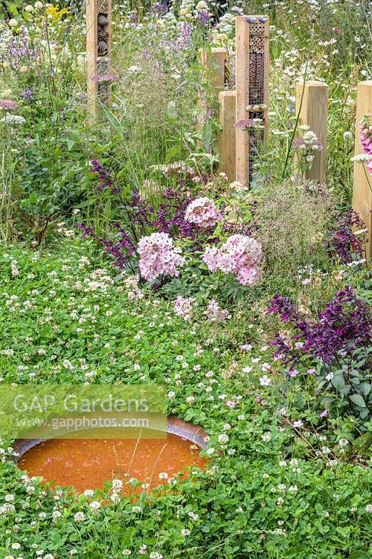 Bug hotels surrounded and water dish, flowering clover lawn  
The BBC Spring Watch Garden - RHS Hampton Court Festival  
Design: Jo Thompson in consultation with Kate Bradbury