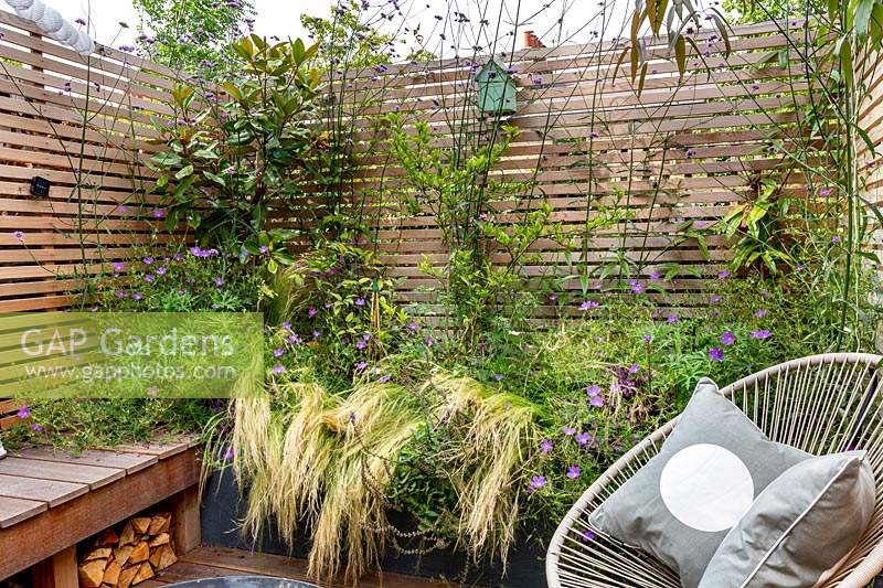 London contemporary garden -  lower wood deck area with  wooden seat and cushions with  a small raised border with Stipa tenuissima, Geranium johnsons blue, Magnolia grandiflora. Surrounded by cedar batten fencing