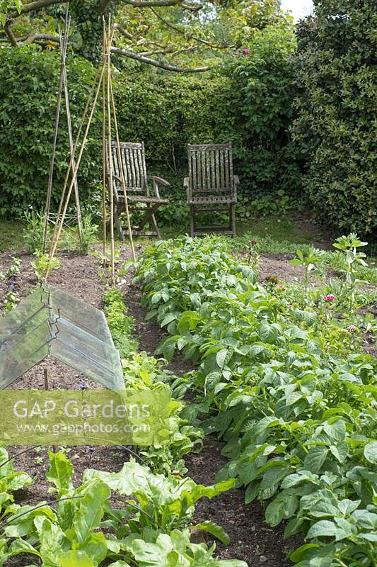Vegetable beds in cottage garden